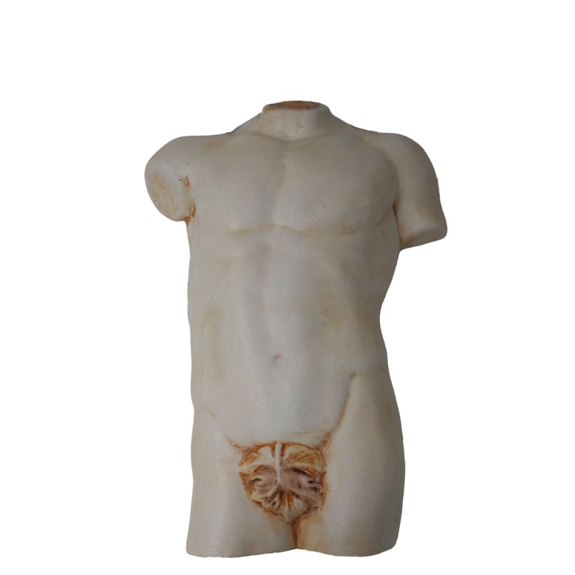 Wall mounted section of male torso